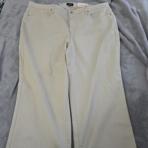 22W Womens NYDJ Feather Beige Ankle Hem Pants